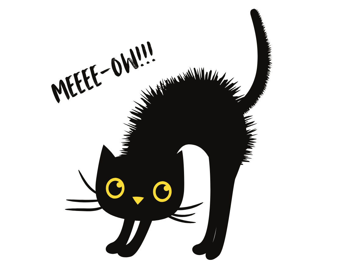 'MEEEE-OW!!!' - Glass Mug