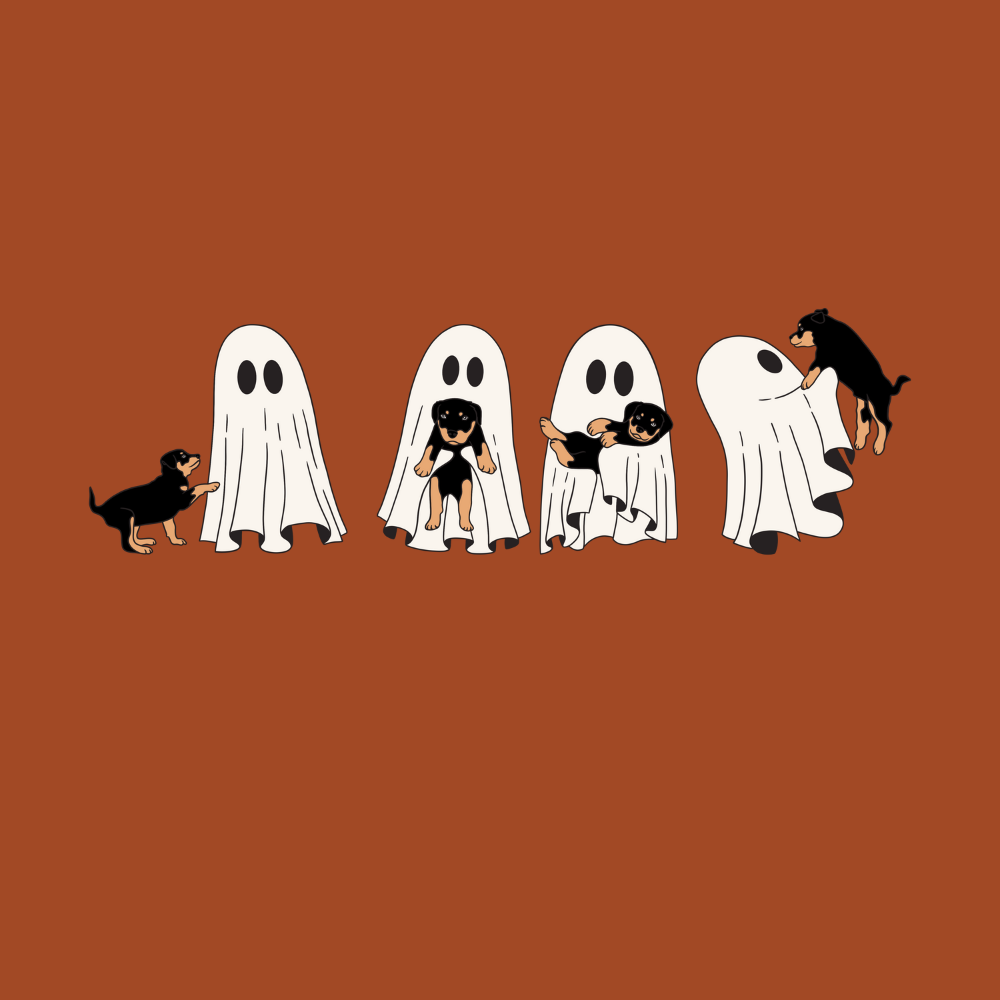 Ghost & Dog