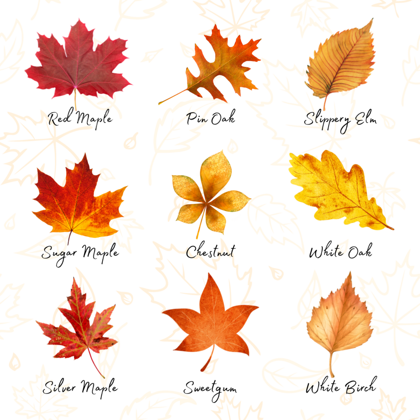 Autumn Leaves