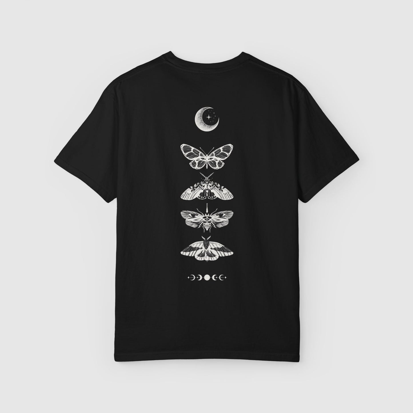Nocturnal Moths (Back)