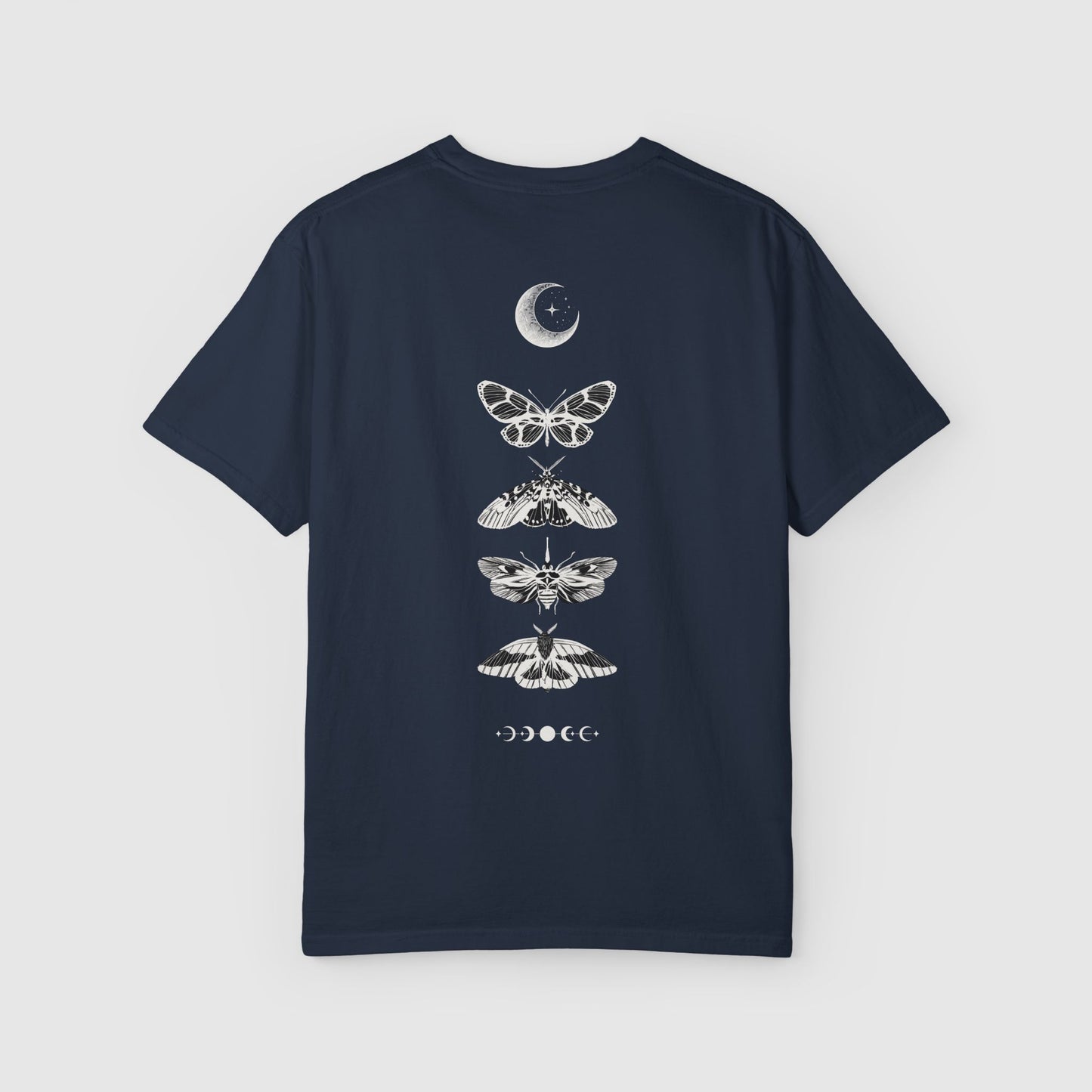Nocturnal Moths (Back)