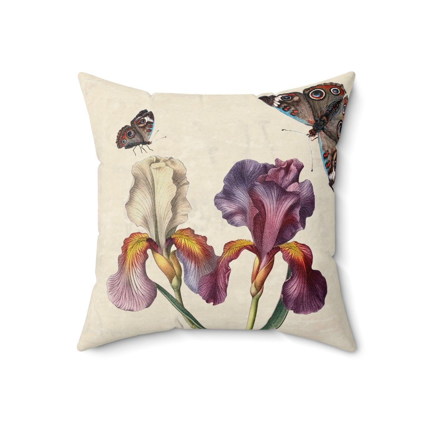 Iris and Butterfly