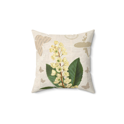 Pittosporum Flower