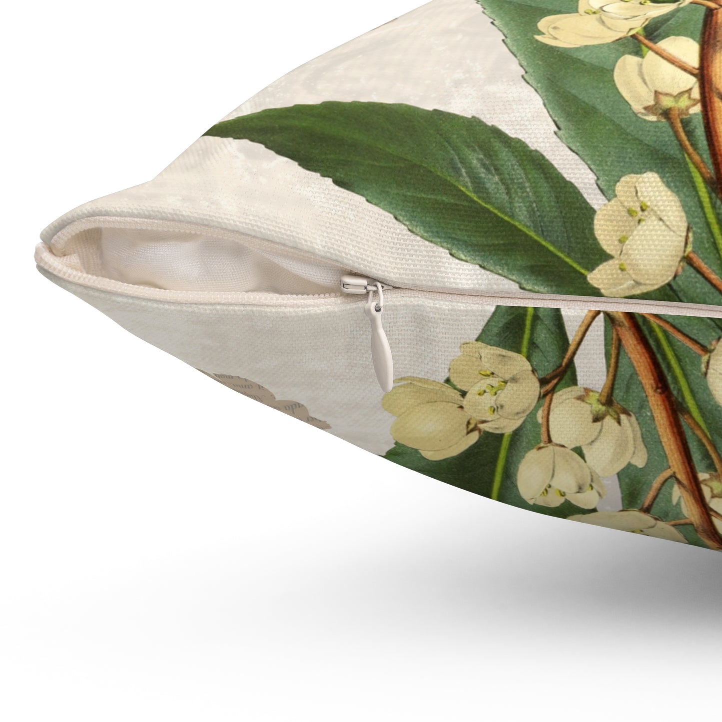 Pittosporum Flower