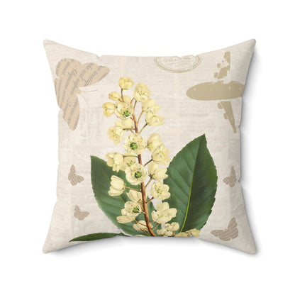 Pittosporum Flower