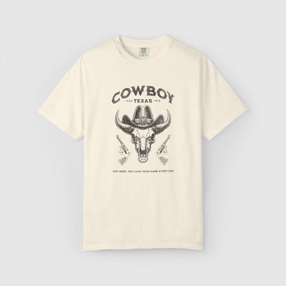 Cowboy Texas