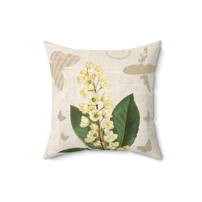 Pittosporum Flower