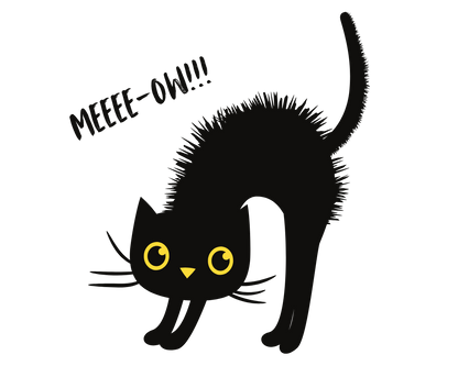 'MEEEE-OW!!!' - Glass Mug