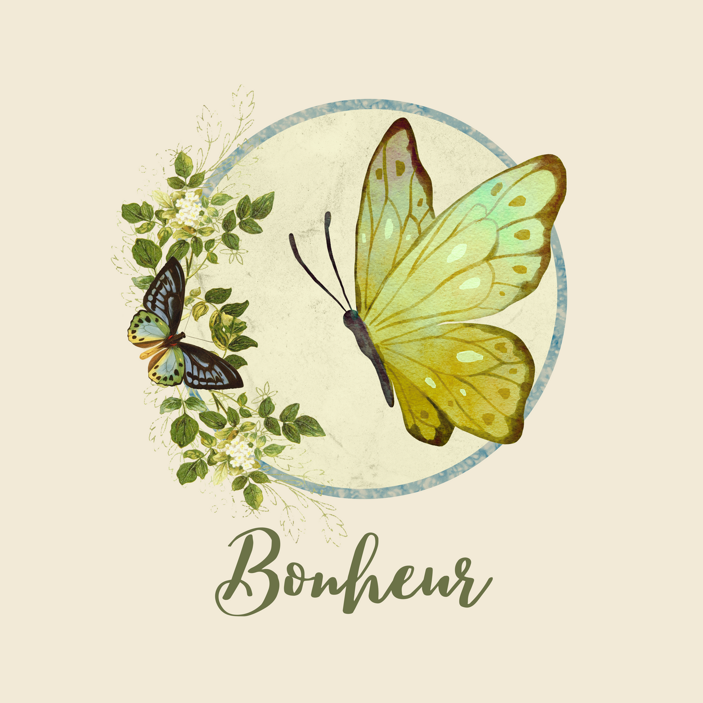 Butterfly
