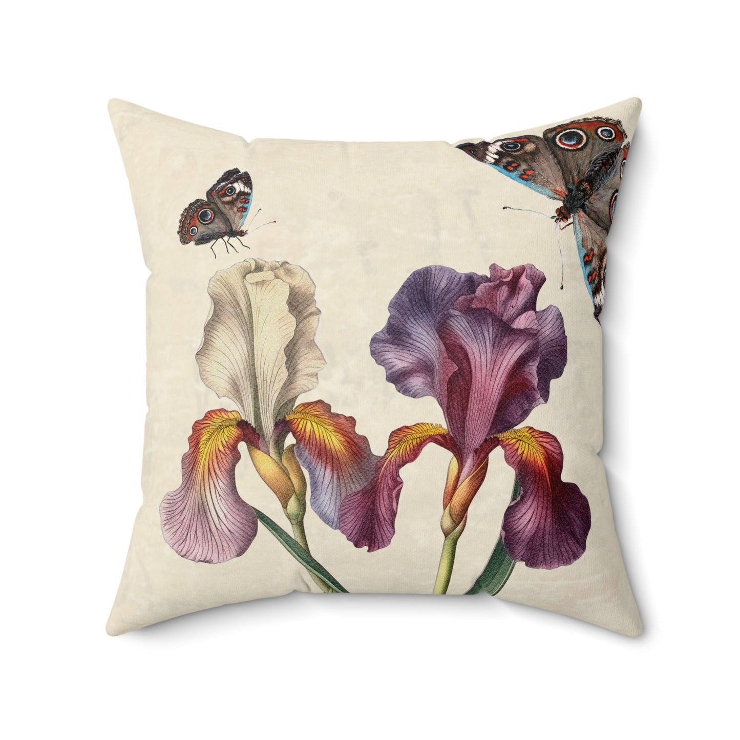 Iris and Butterfly