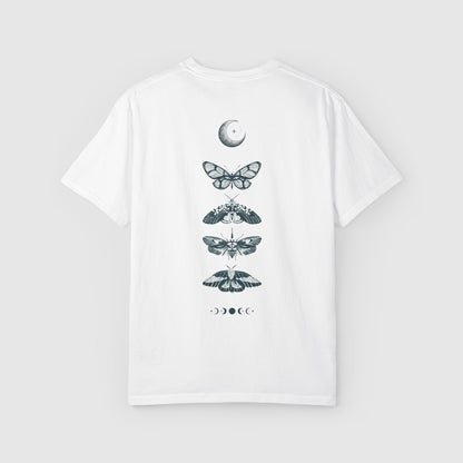 Nocturnal Moths (Back)