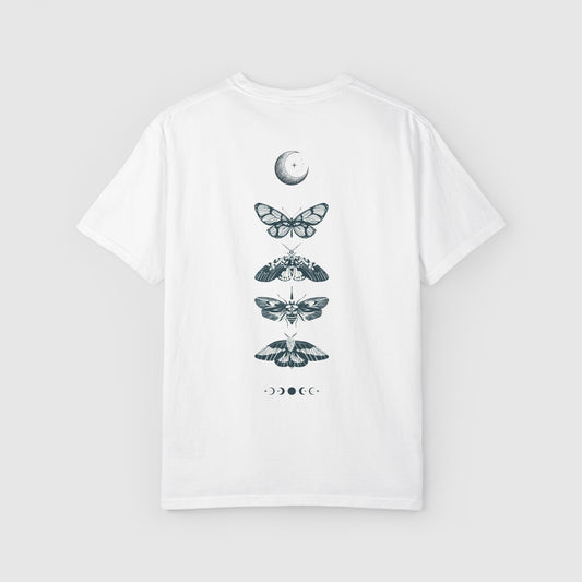 Nocturnal Moths (Back)